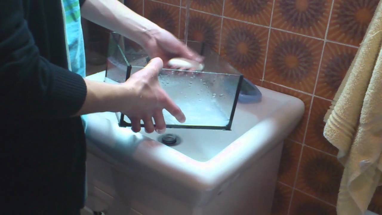 Jak urządzić terrarium dla ptasznika naziemnego