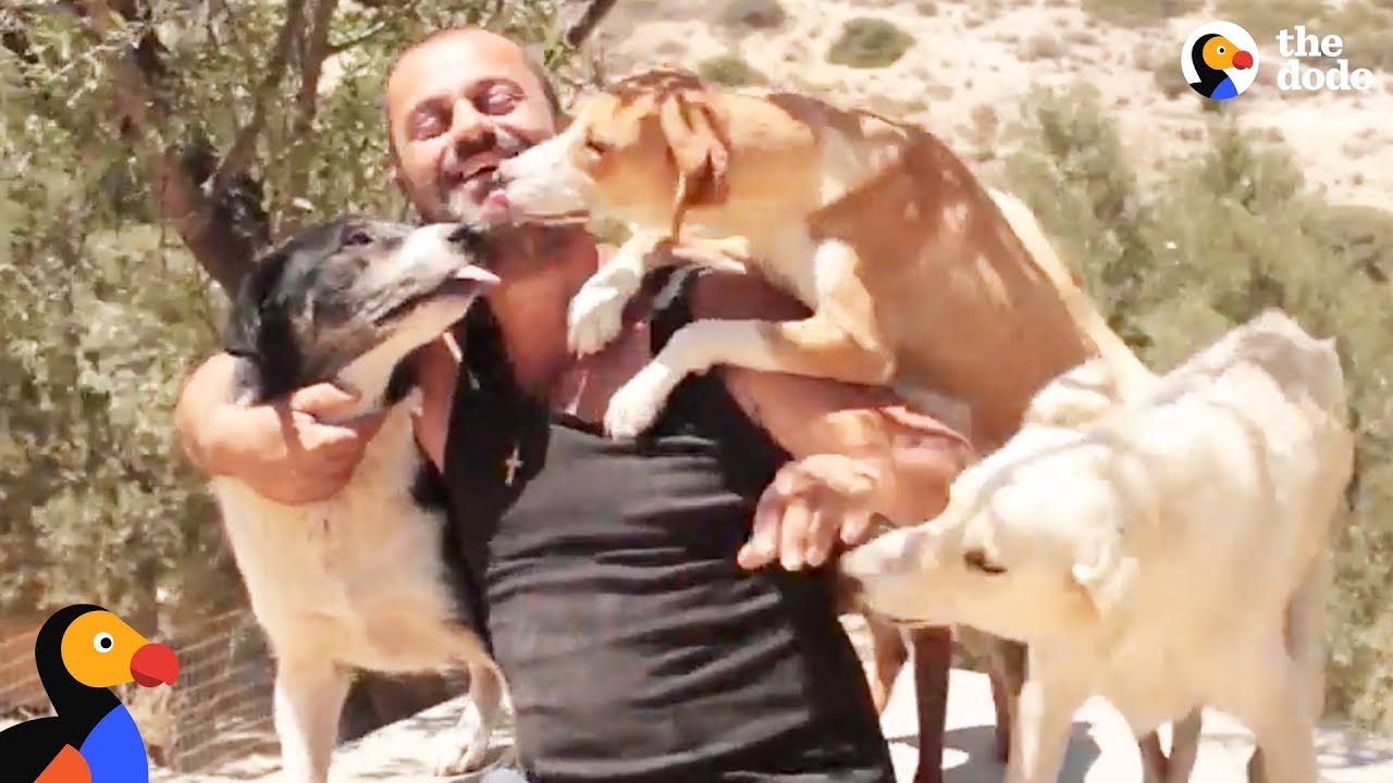 Man Gives Up Everything He Owns To Save Stray Dogs | The Dodo