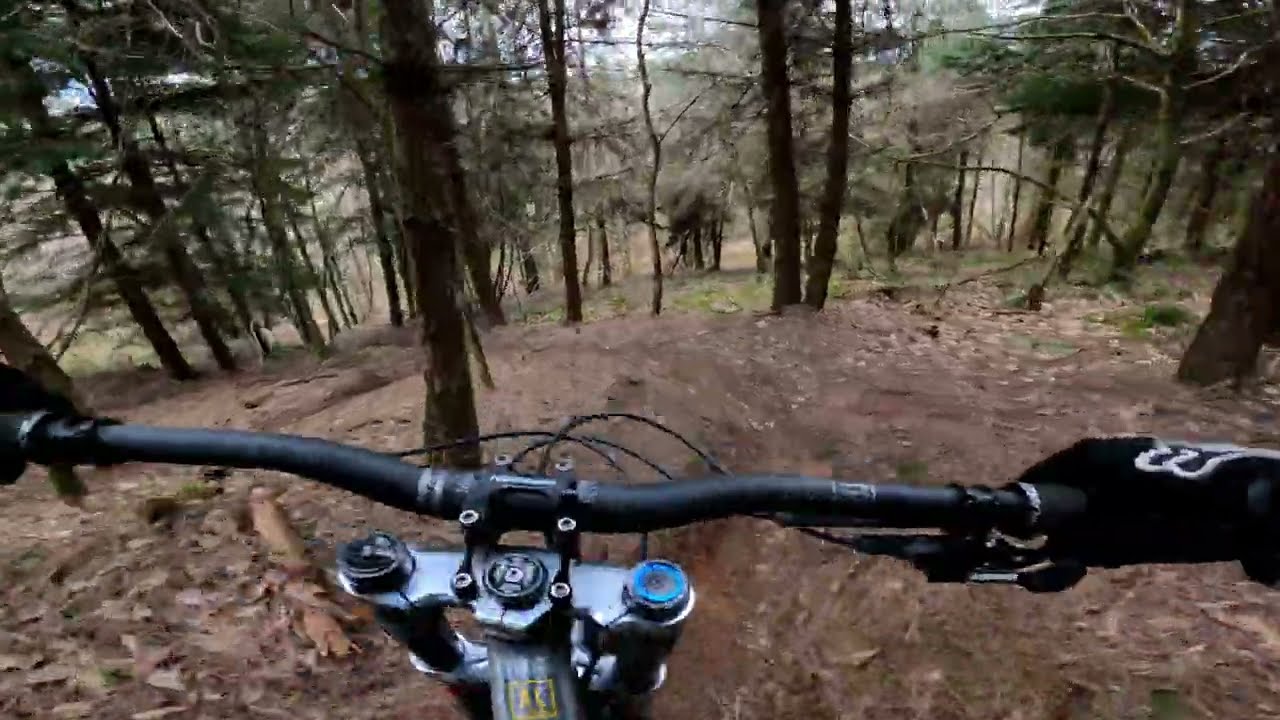 Grogley Woods