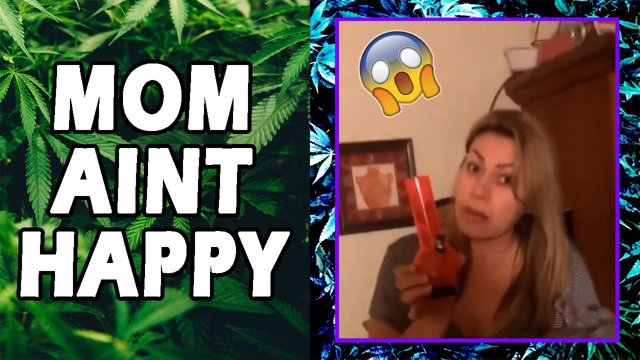 WEED MEMES & Fail Compilation [#116] - Fatally Stoned