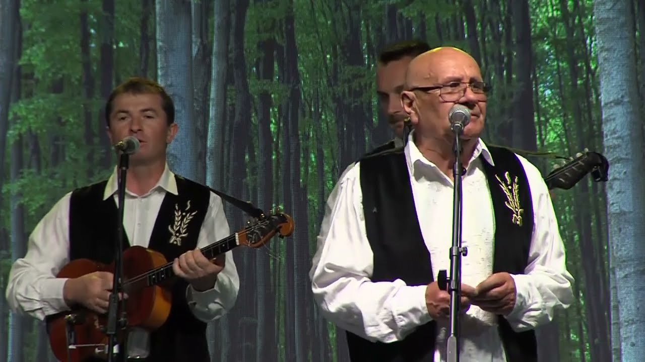Dragan Vlajnić i Suhopoljski tamburaši - Mome sinu (Zlatni glas zlatne doline - Kaptol 2022.)