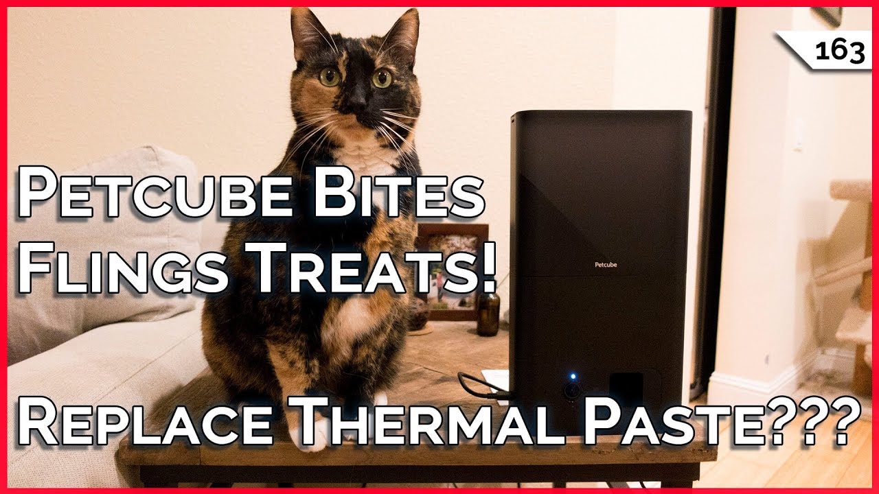 Petcube Bites Review! Should I Change My Thermal Paste??? Apartment WiFi Security!