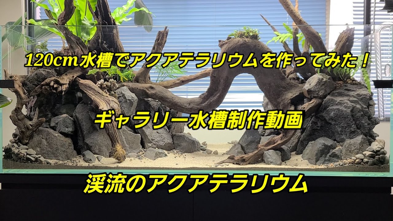 ギャラリー水槽制作動画　渓流のアクアテラリウム