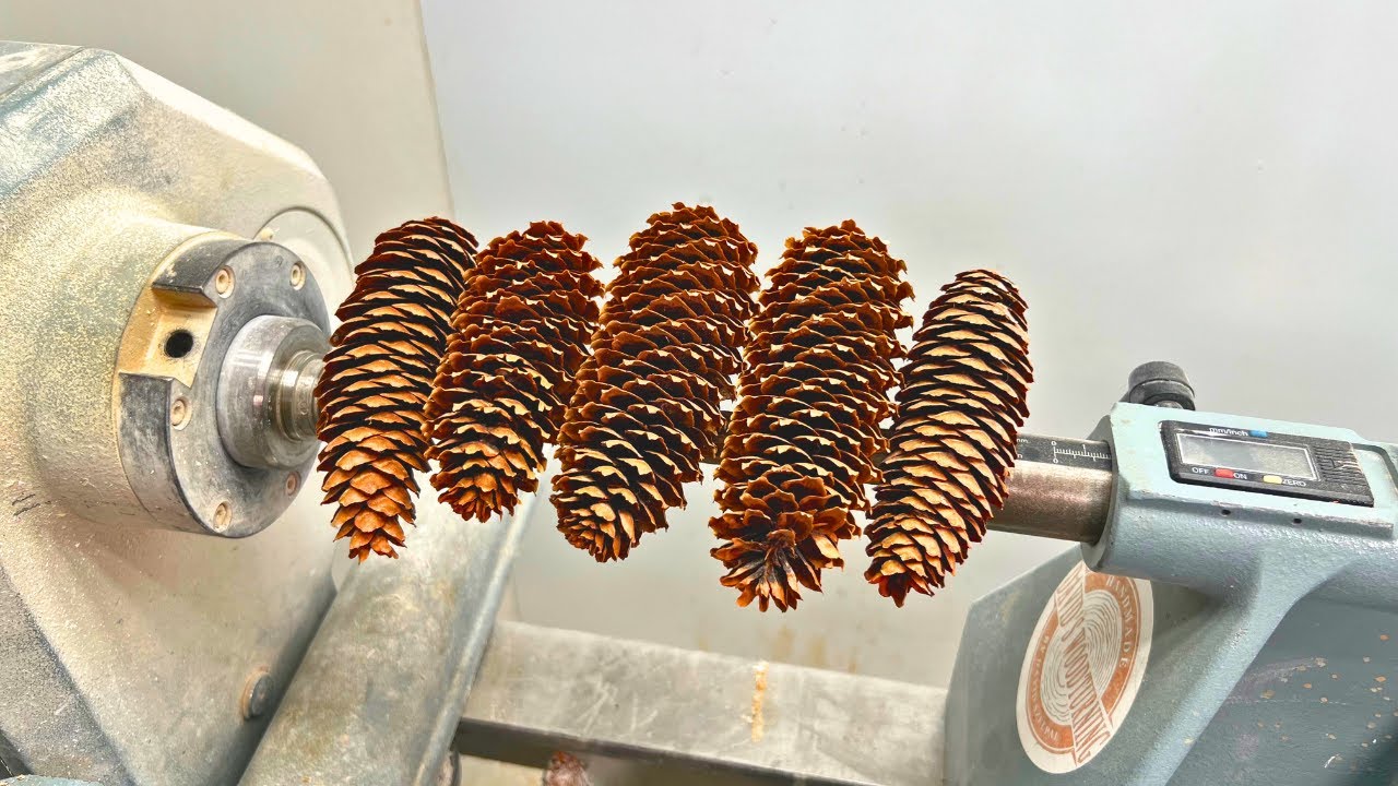 Transforming Nature Into Art: Woodturning
