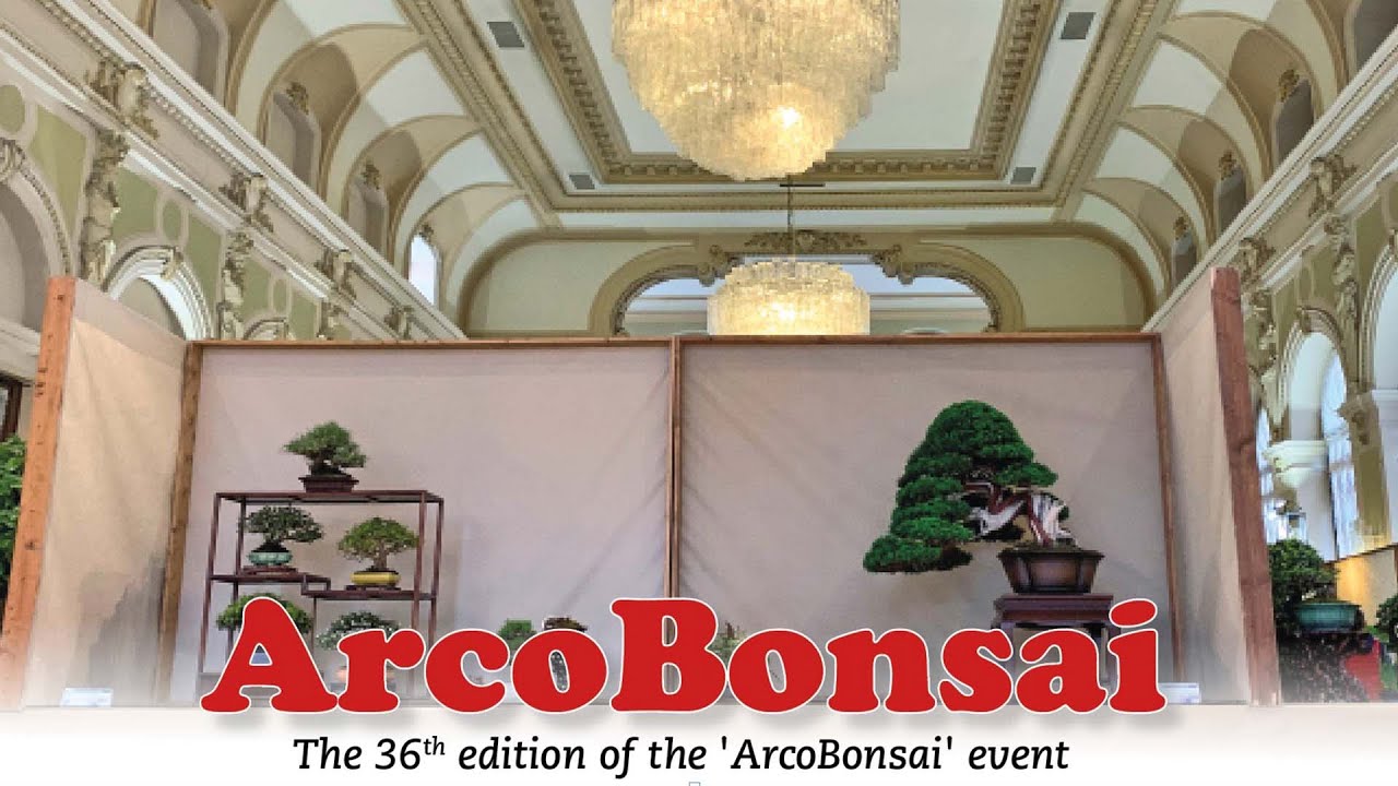 ARCO BONSAI '22