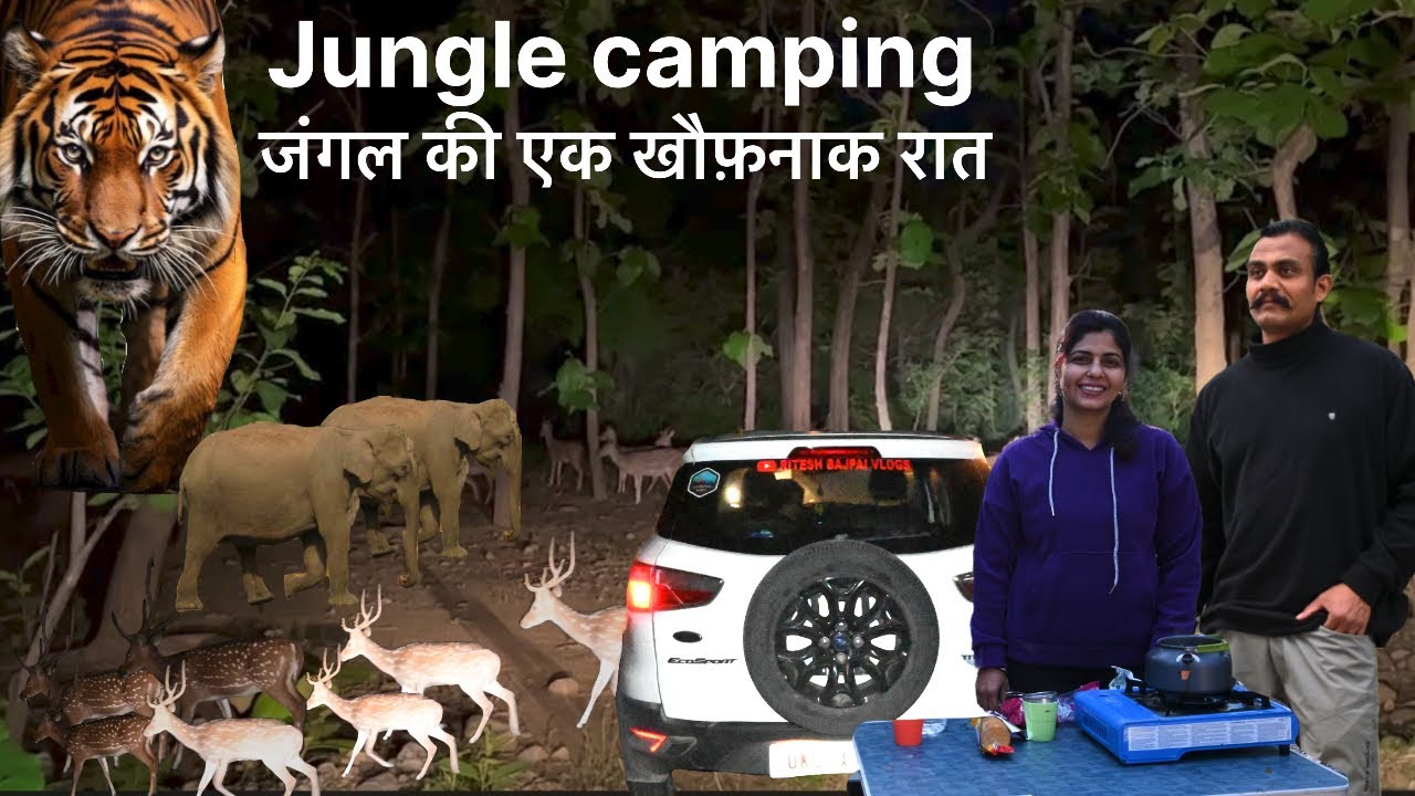 Night camping in jungle | एक खौफ़नाक रात | Tiger spotted at night | 23 Feb