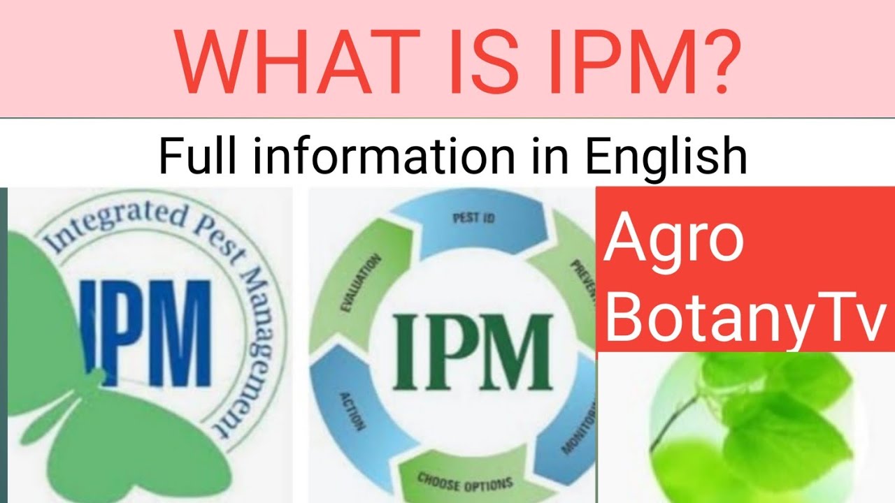 Integrated pest management // What is IPM.