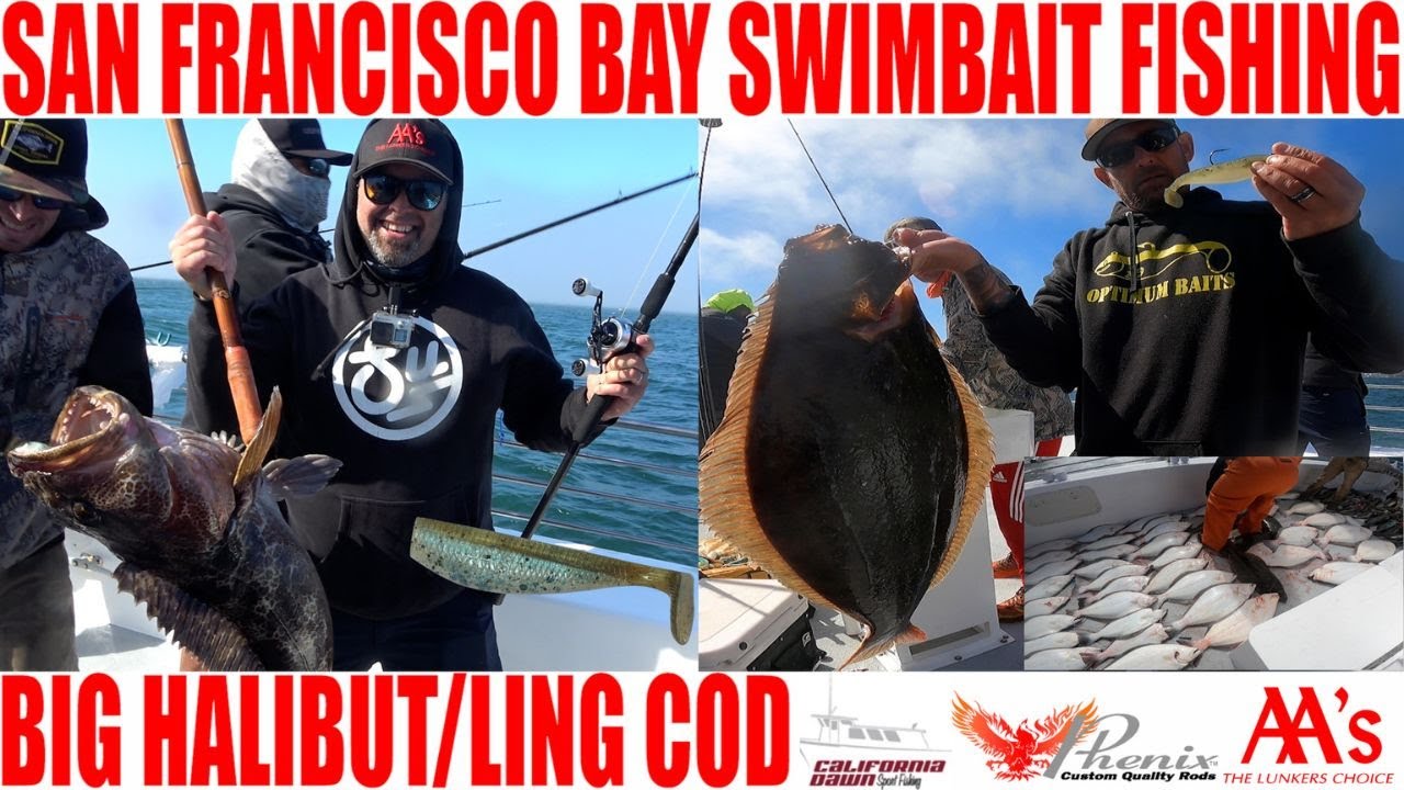 San Francisco Bay Swimbait Fishing -Big Halibut/Ling Cod-