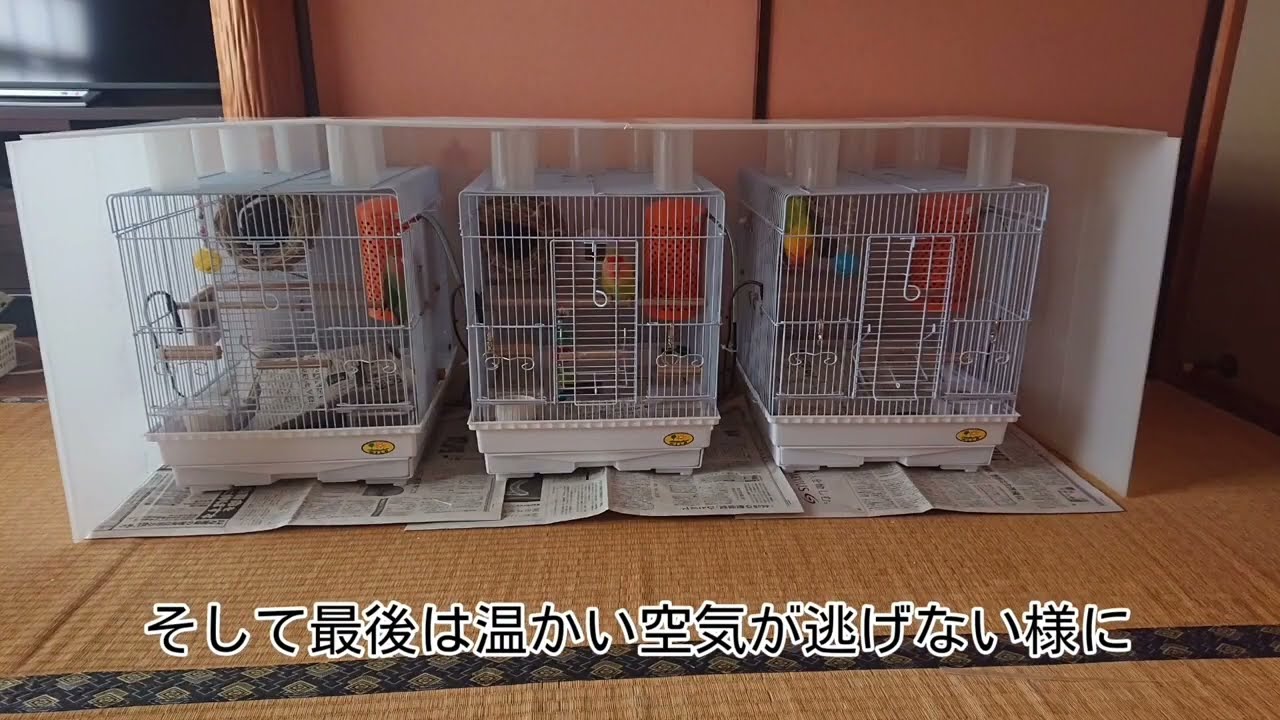 【　激安！保温ケースを作りました！　】コザクラインコ・ボタンインコ