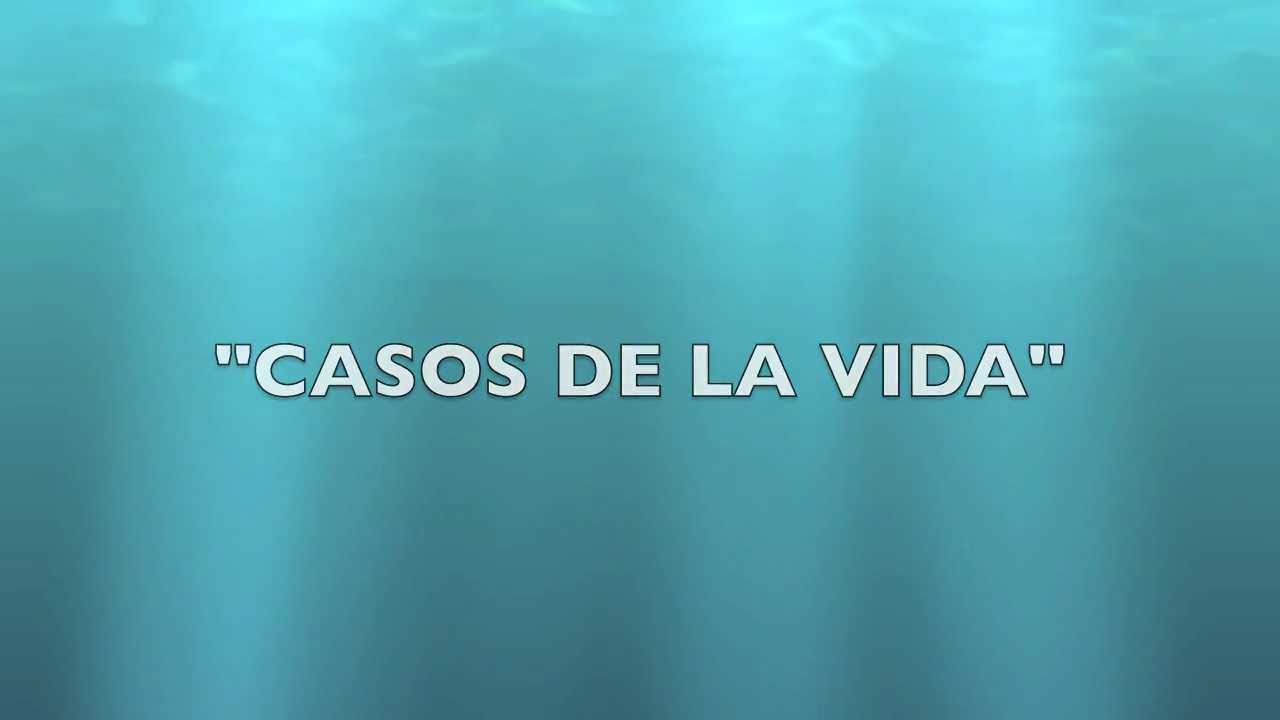 RUINA NUEVA - CASOS DE LA VIDA