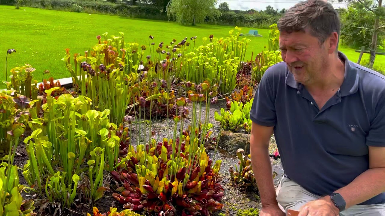 Bog garden update 5/7/21 part 1