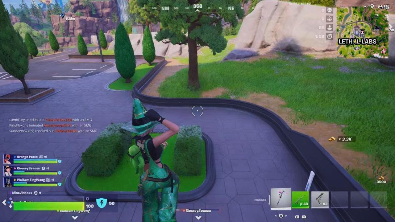 Fortnite Squad Win