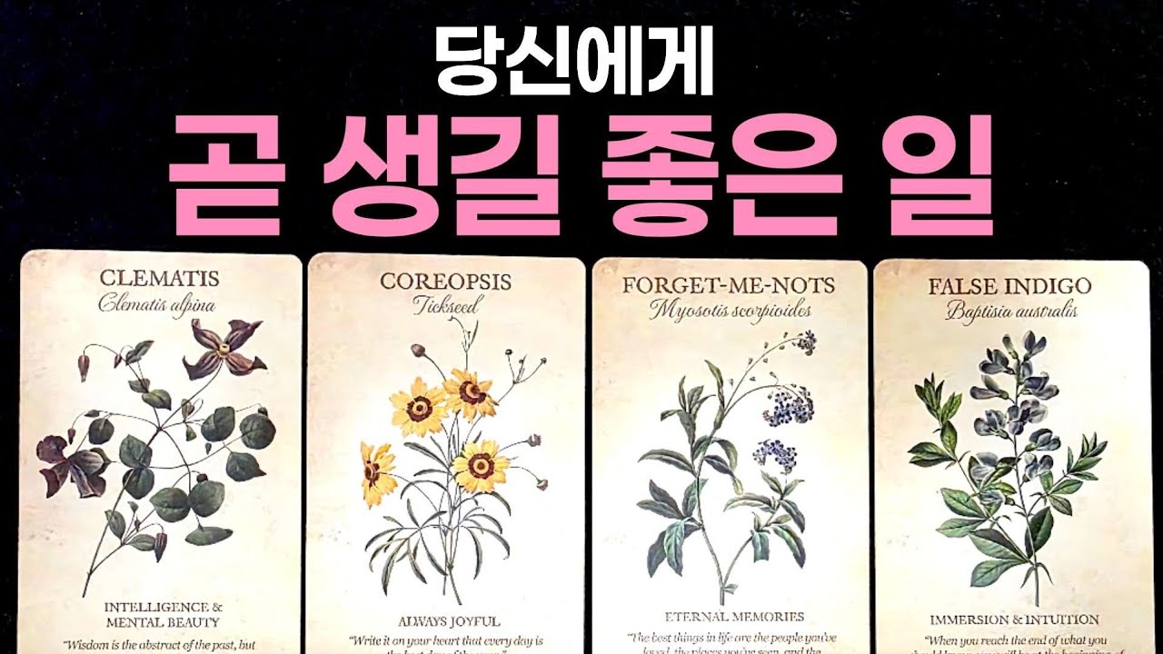 [타로] 당신에게 곧 생길 좋은 일🌹