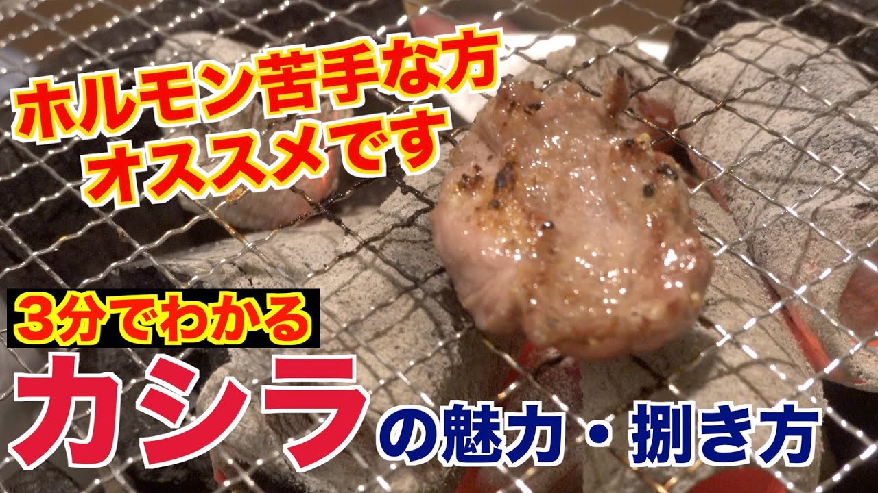 ホルモン嫌いも克服?!カシラの魅力と捌き方