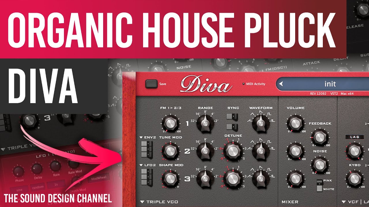 Diva | Pluck Chords, Organic house | All day I dream - Tutorial