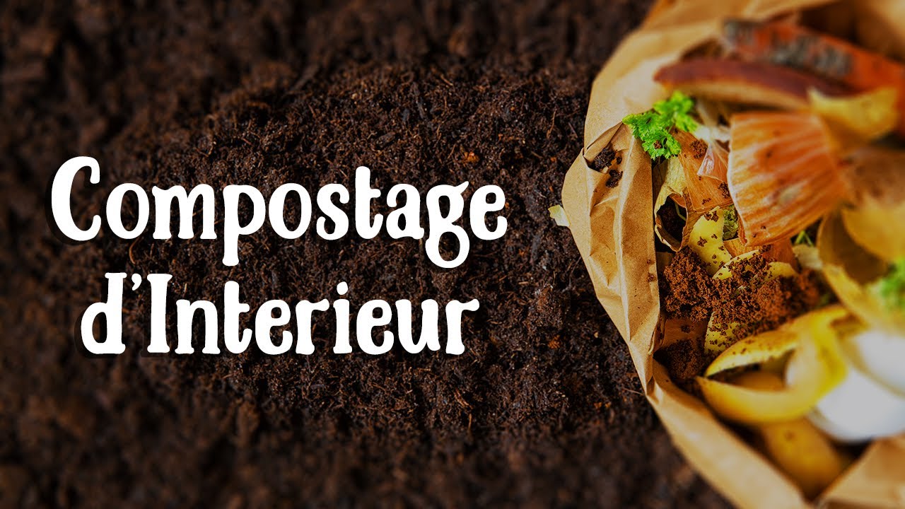 Comment Faire son compost dans la maison ! !Jus de compost &agrave; FOISON