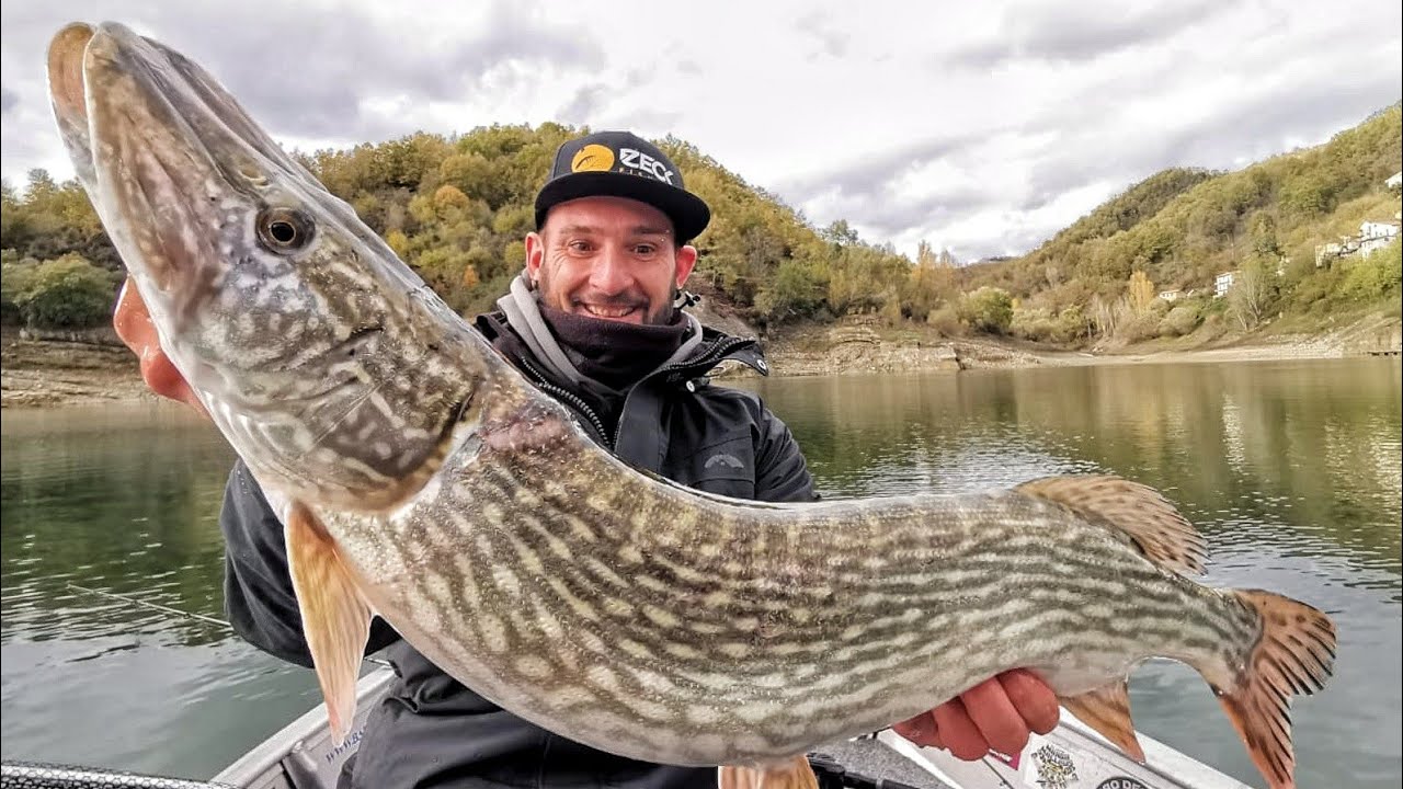 LA PESCA DEL LUCCIO SUL LAGO DEL SALTO - 4K by YURI GRISENDI