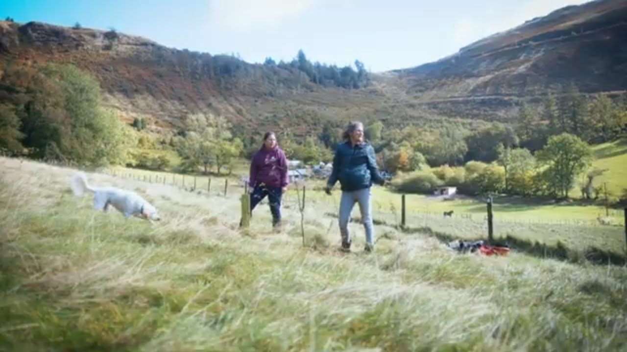 Landowner plants trees and hedges with planting scheme
