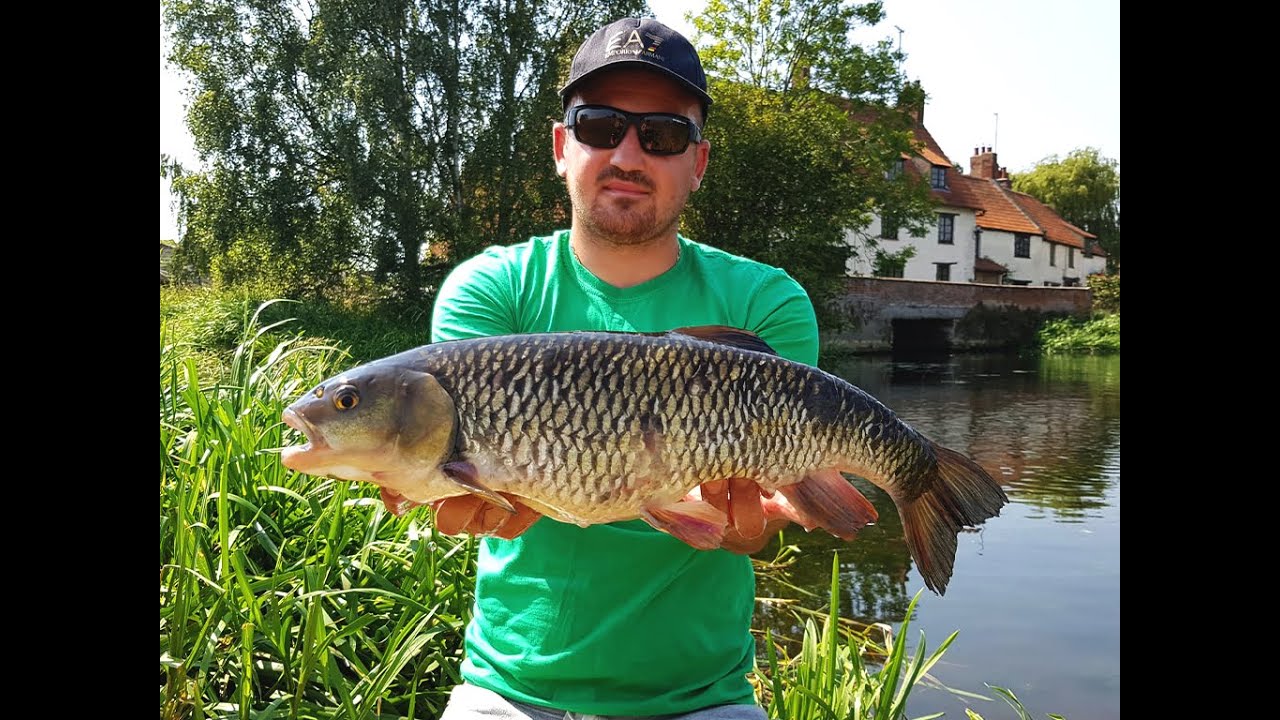 Big Chub Caught on River