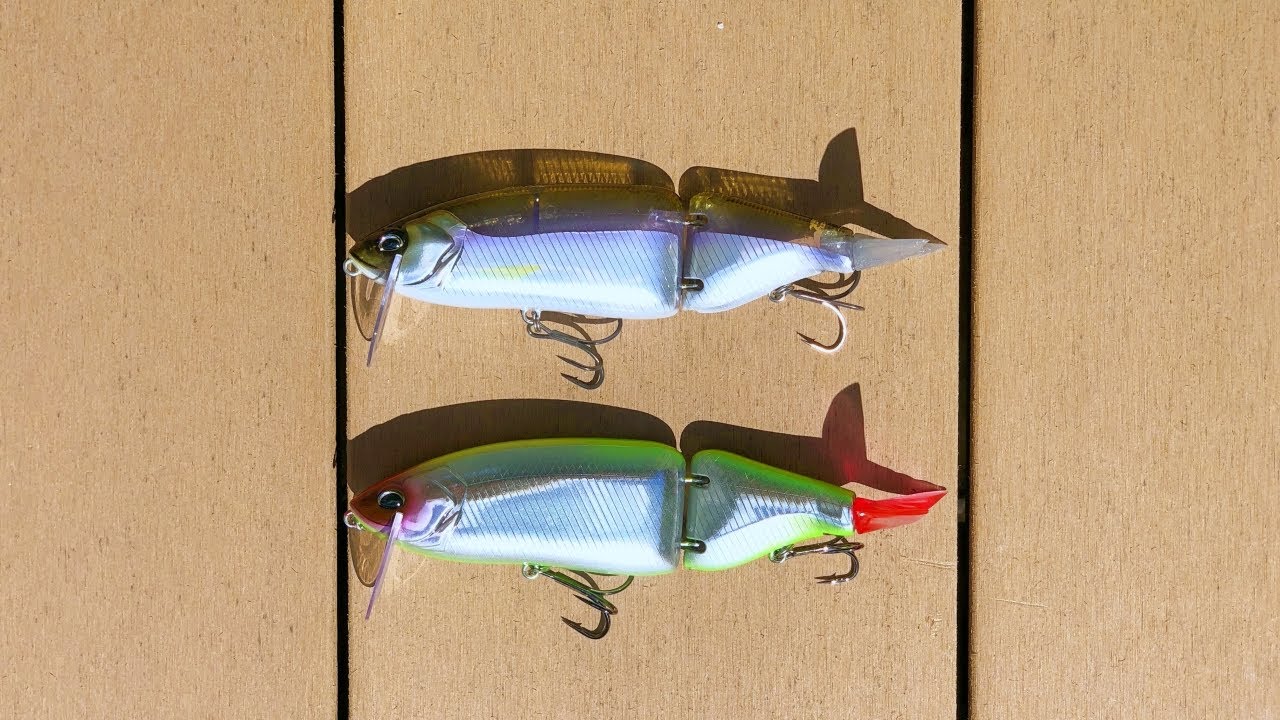 どっちが本物のタイニークラッシュか分かりますか？