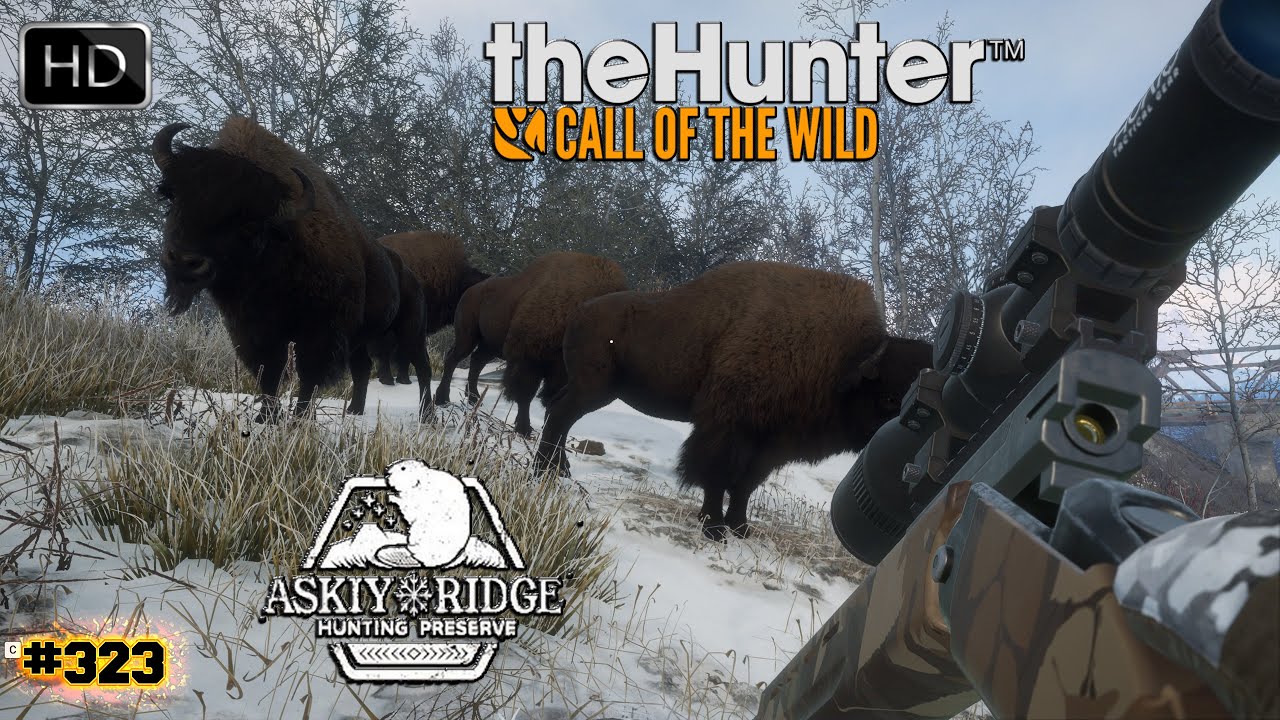 THEHUNTER CALL OF THE WILD #323 UNE CHASSE AUX BISONS DES BOIS SUR ASKIY RIDGE HUNTING 2025
