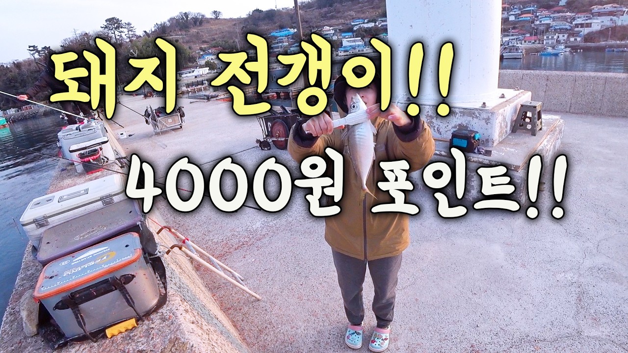 [다리tv] 대박!!! 돼지 전갱이가 나오는 섬!!! 4000원 섬 여행!!!