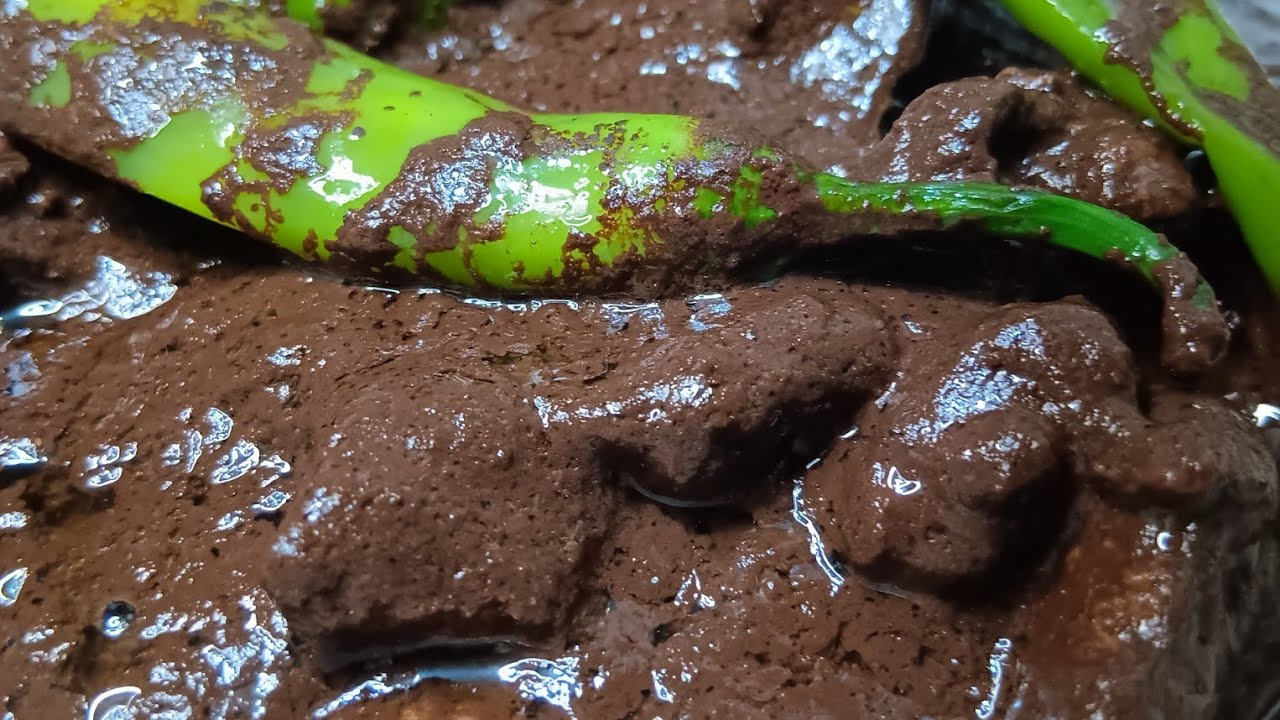 PORK DINUGUAN