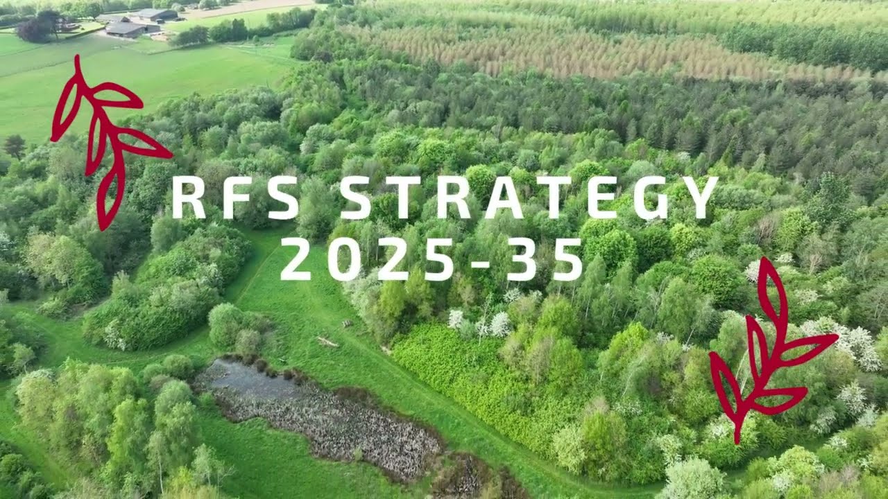 RFS Strategy to 2035