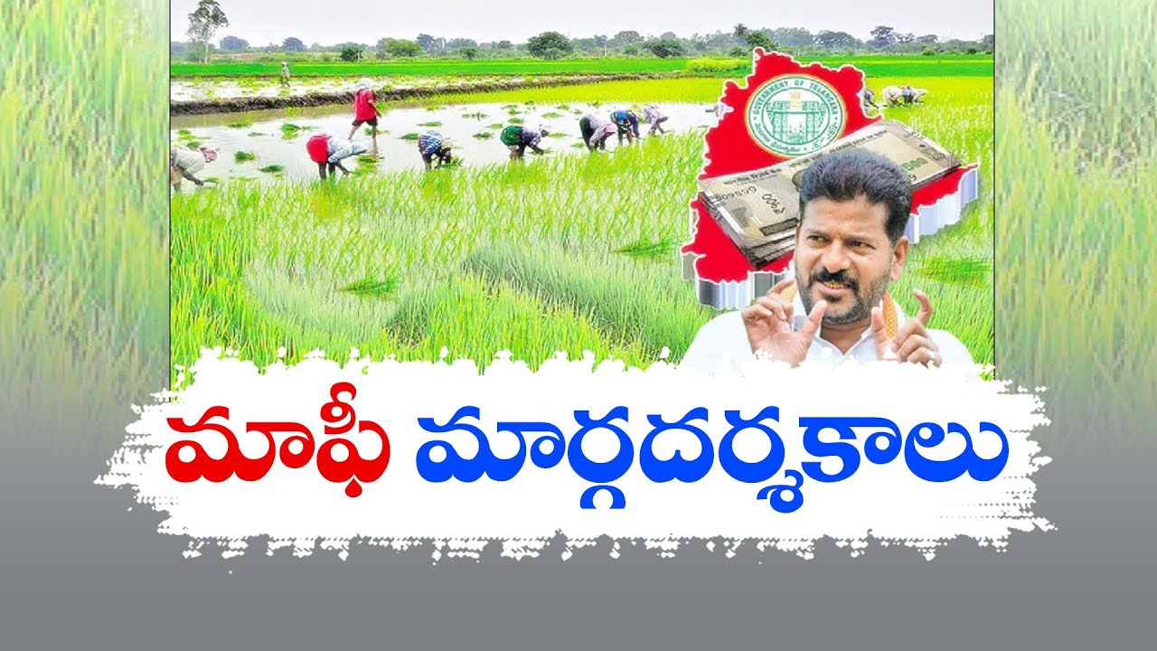 2 Lakh Crop Loan Waiver Guidelines Released By Govt | 2 లక్షల పంట రుణ మాఫీ మార్గదర్శకాలు విడుదల