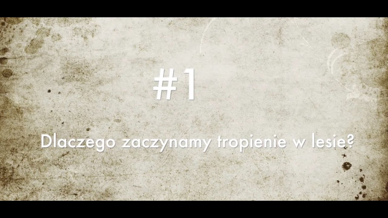 #1 - dlaczego zaczynamy tropienie w lesie?