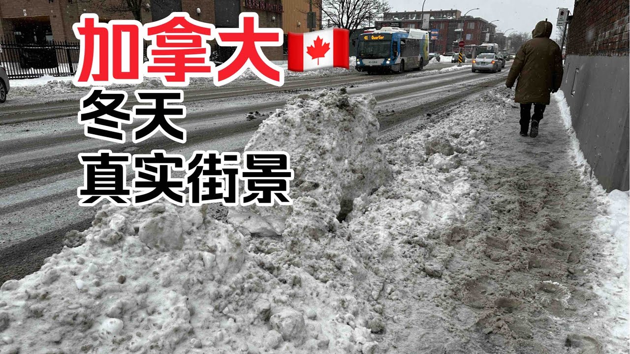 蒙特利尔的冬天 大雪天 脏街道  看完你还想来加拿大吗？真实加拿大街景实拍