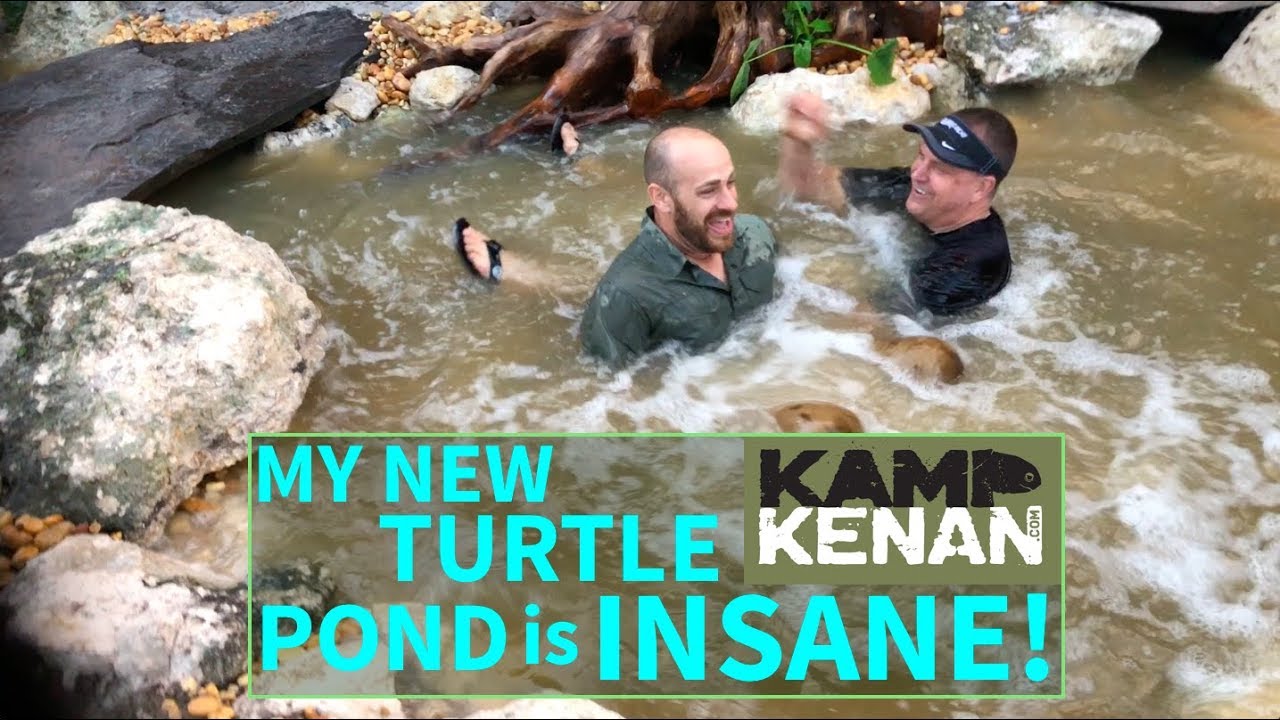 How to build a $14k Turtle Pond in 10 hours!