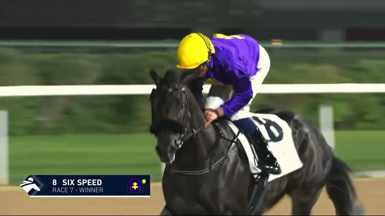 SIX SPEED и William Buick одержали победу в скачках UAE 2000 Guineas Trial 2026 года.