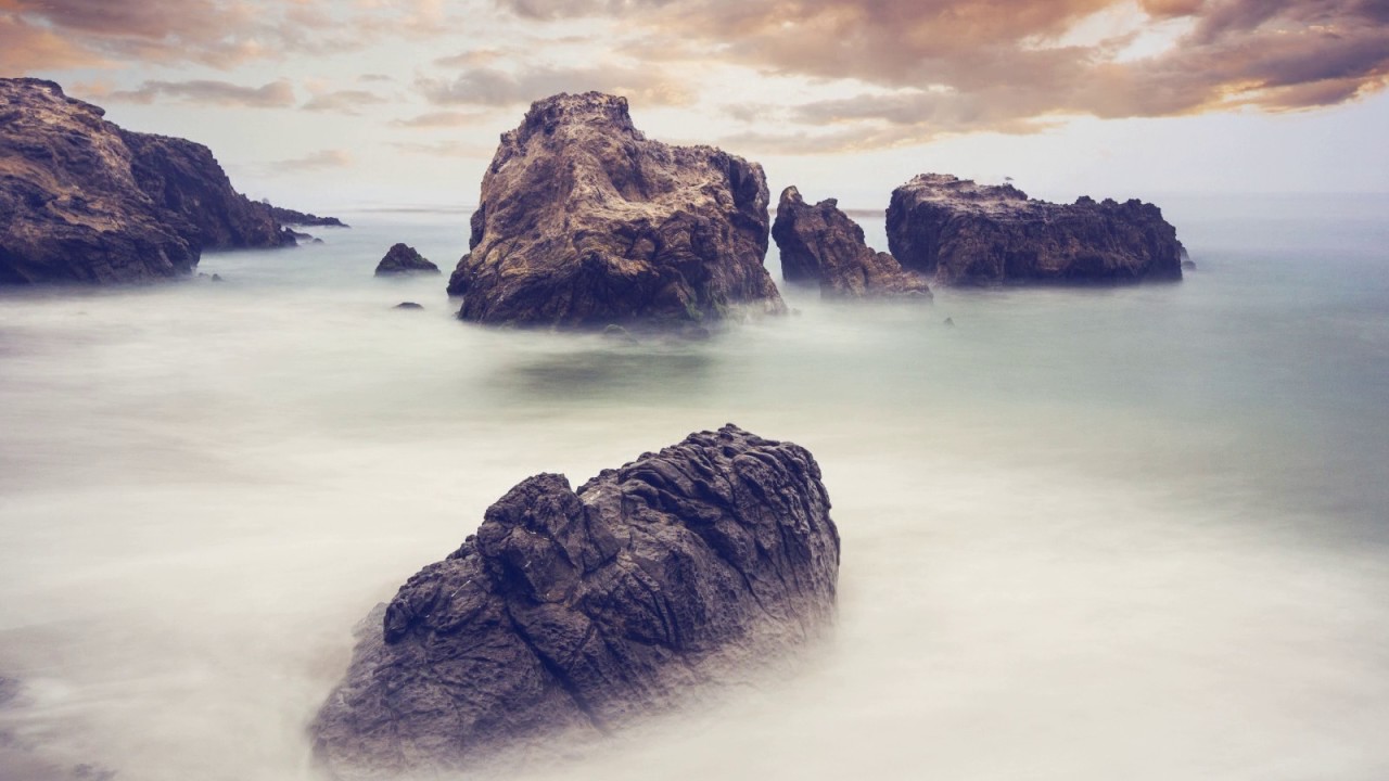 Cantata `Dem Gerechten muss das Licht immer wieder aufgehen` BWV 195 - Johann Sebastian Bach