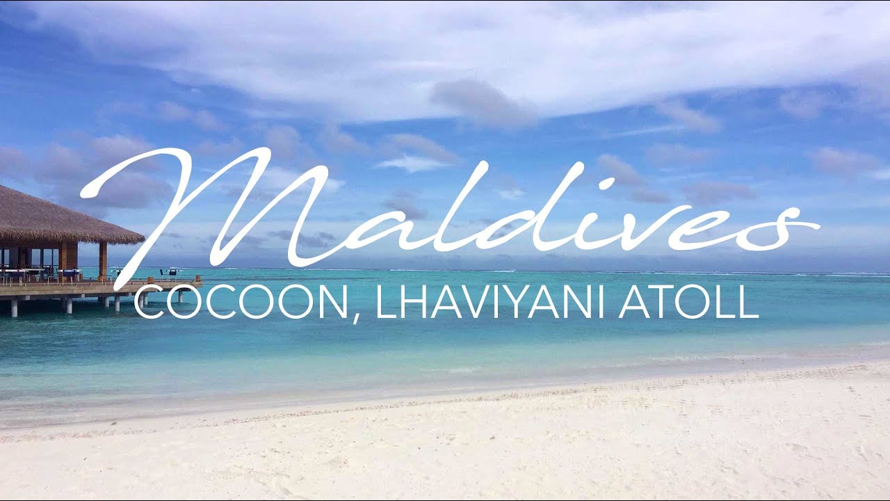 Maldives - Ocean for Exquisite Days