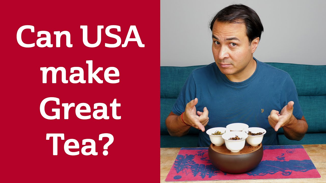 Обзор чая из США — слепая дегустация и оценка чая из США