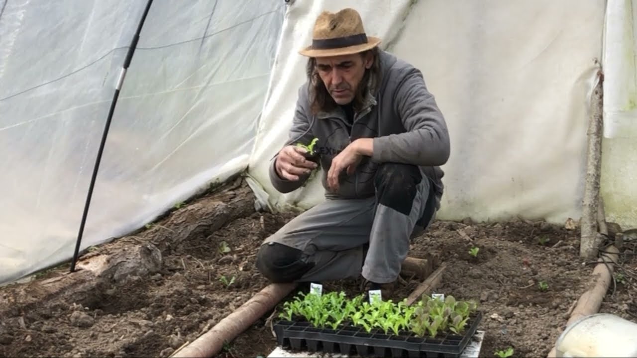 plantation au jardin et rempotage