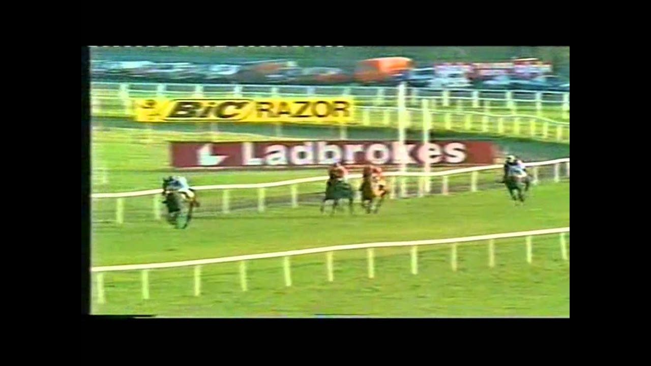 1983 King George VI Chase Kempton extended footage Wayward Lad