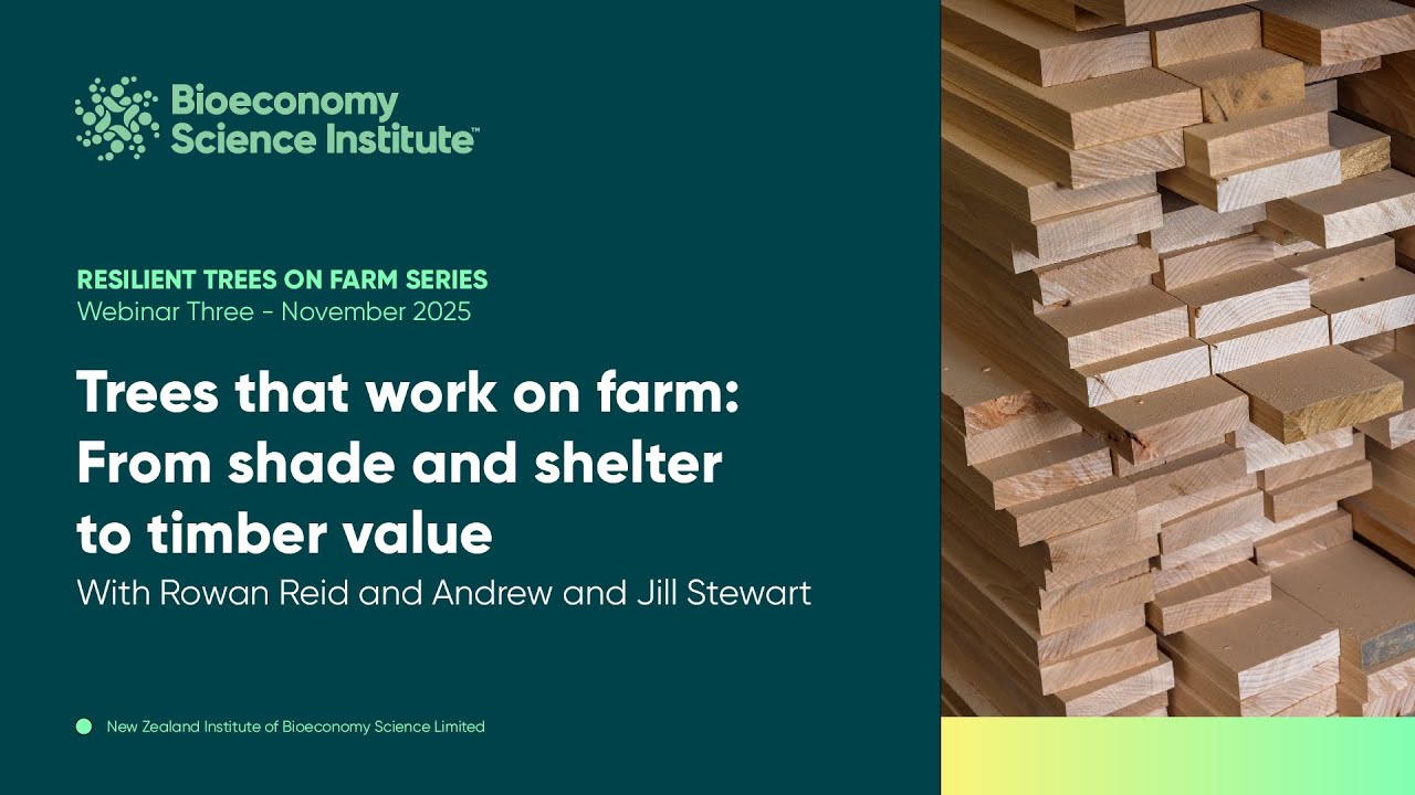 Resilient trees on farm series - November