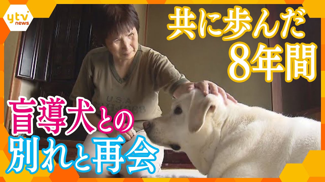 ８年間共に歩んだ盲導犬との別れ　結ばれた深い絆