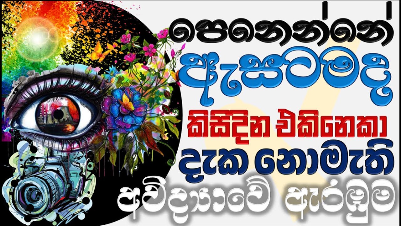 පෙනුනේ ඇසට නොවන බව | දෙදෙනෙක් කිසිදින එකට හමු නොවූ බව | අවිද්‍යාවේ ආරම්භය | Ven Bandarawela Wangeesa