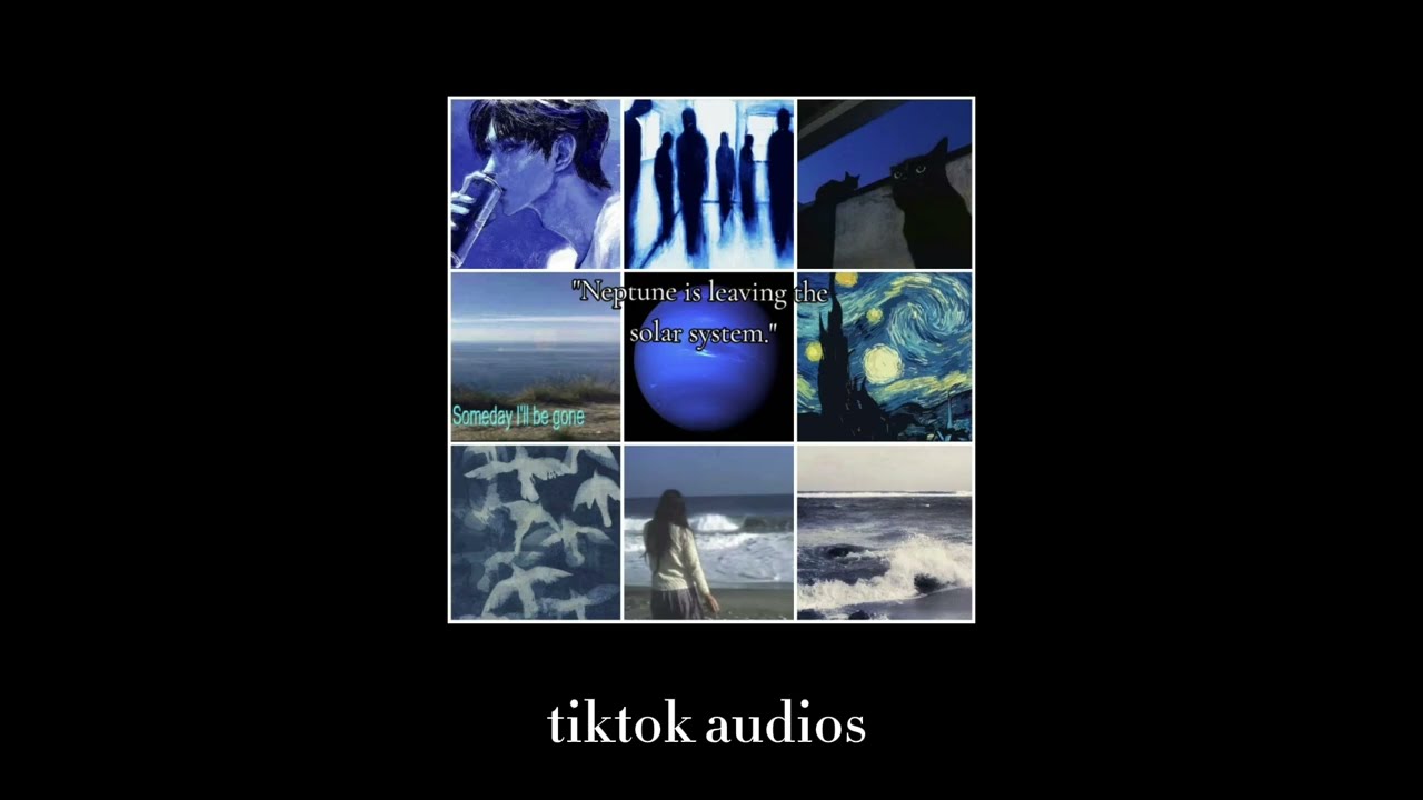 tiktok audios 166 + timestamps