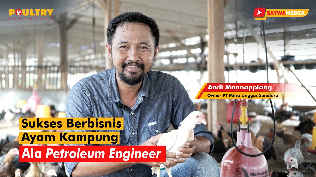 Sukses Berbisnis Ayam Kampung - Ala Petroleum Engineer