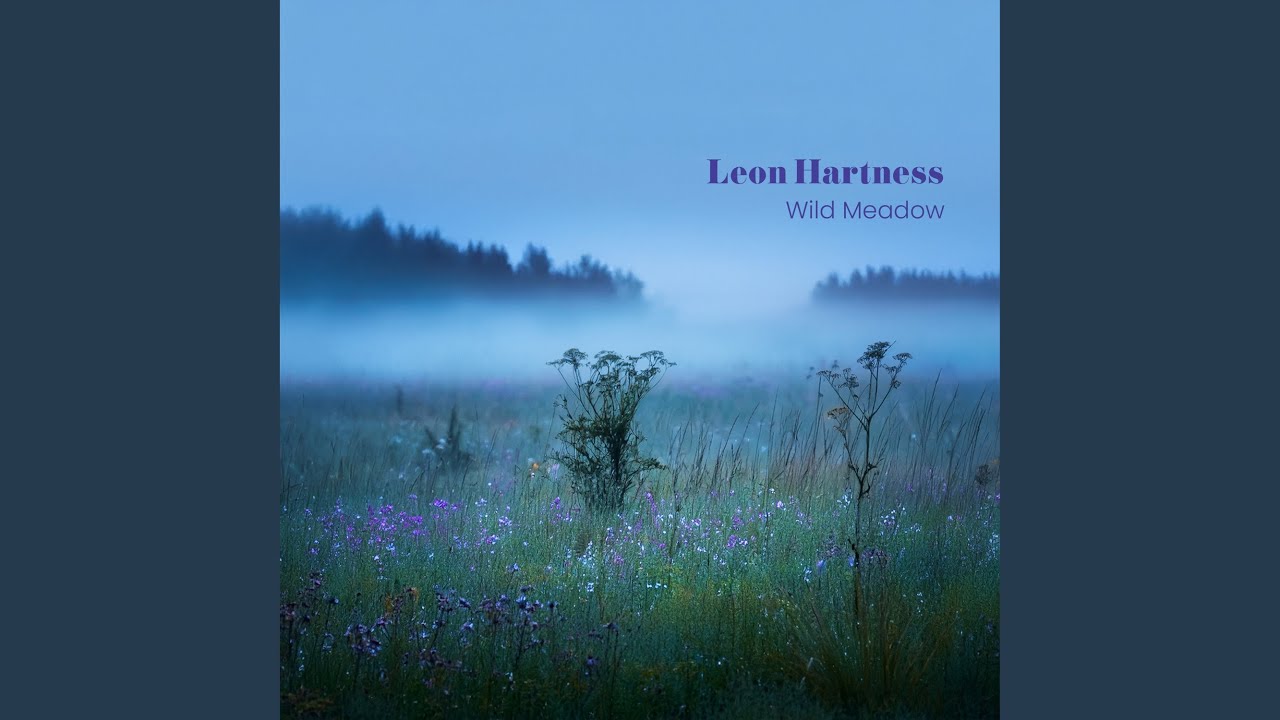 Wild Meadow