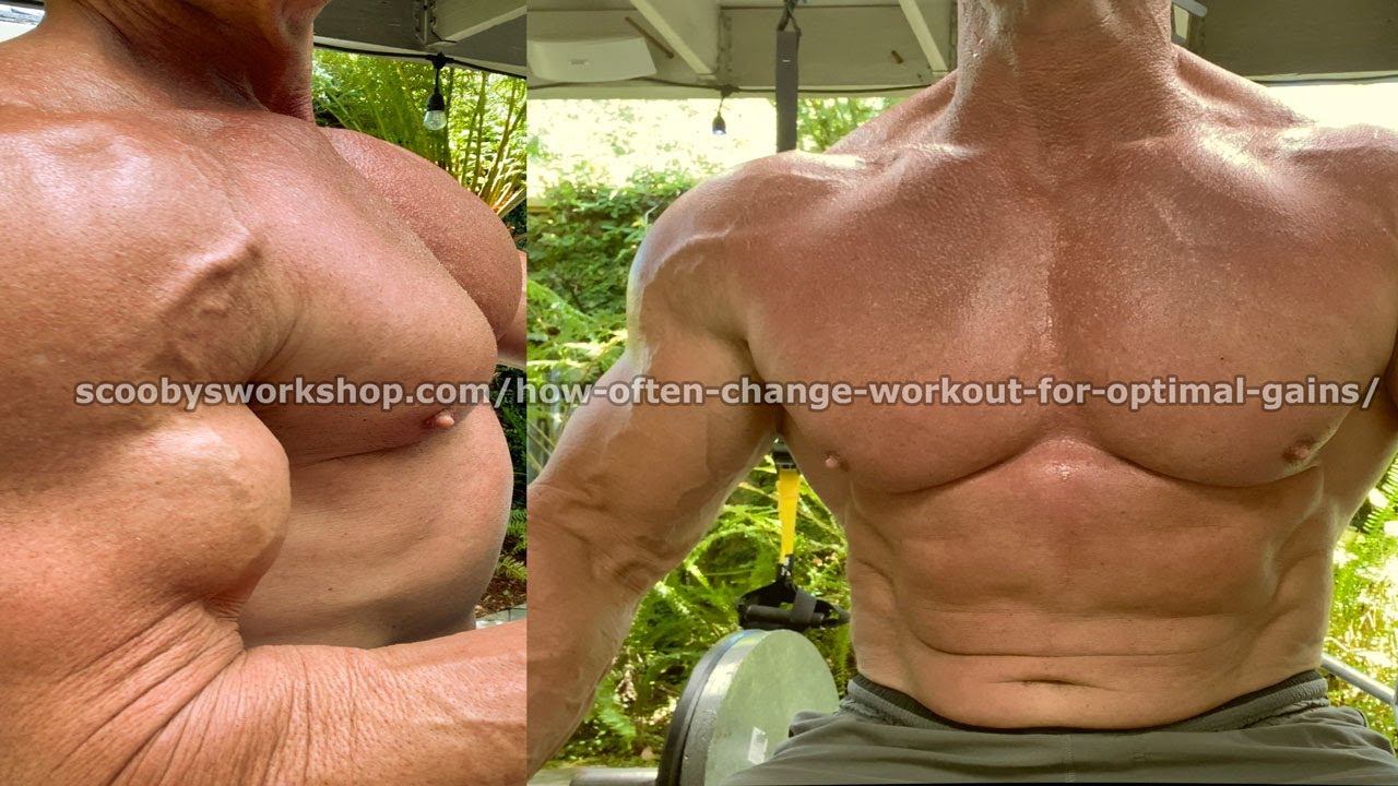 How often change workout for optimal gainz?