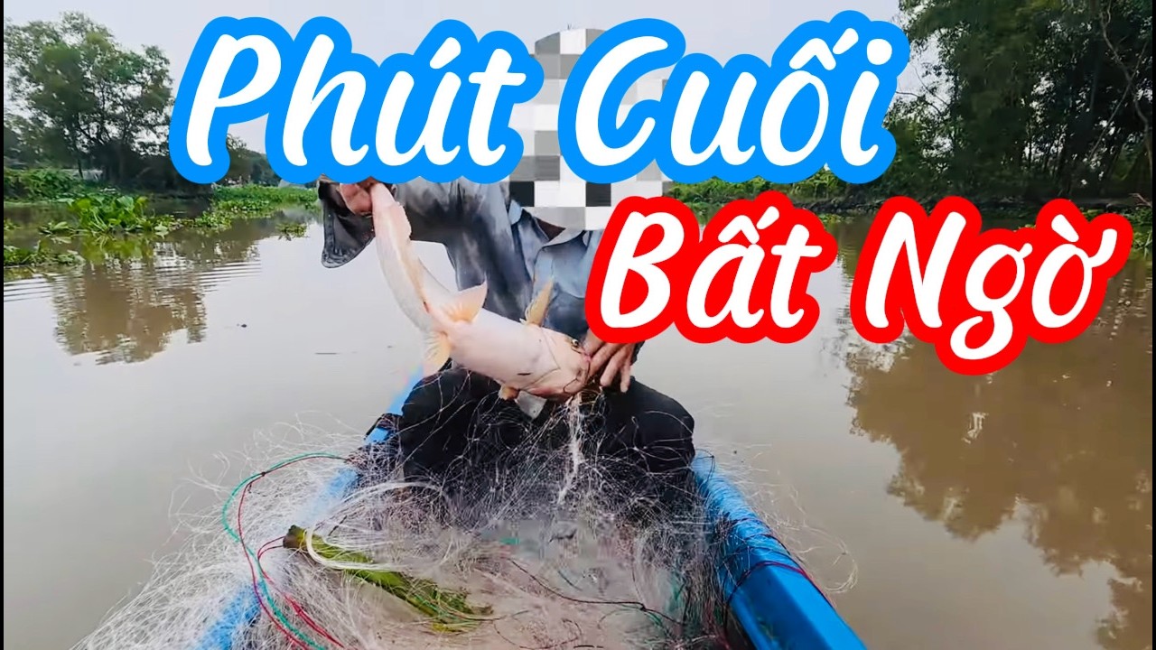 Đi Giăng Lưới Cá Sát | Thấy Cá Tra Đớp Móng | Gần Về Bất Ngờ Dính 1 Con Cá Tra To