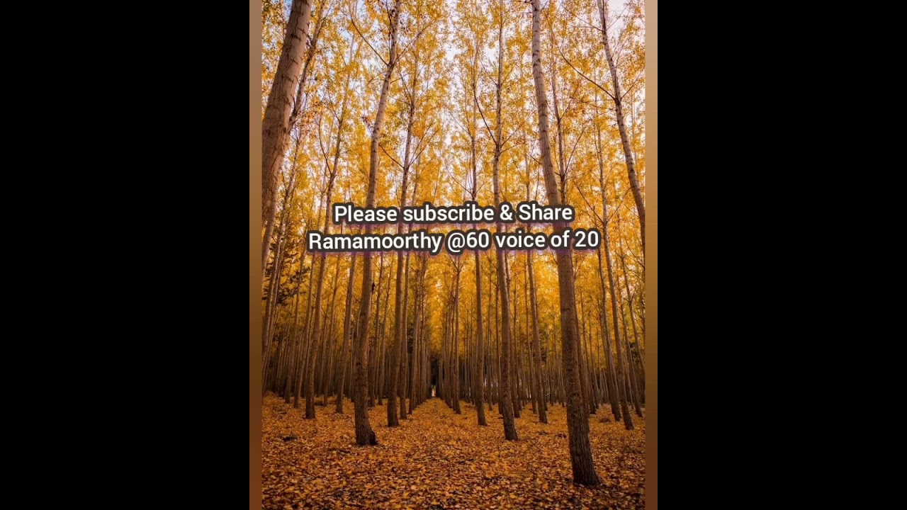 Ival Oru Ilanguruvi/ Karaoke Track for Female Singers by Ramamoorthy@60 voice of 20