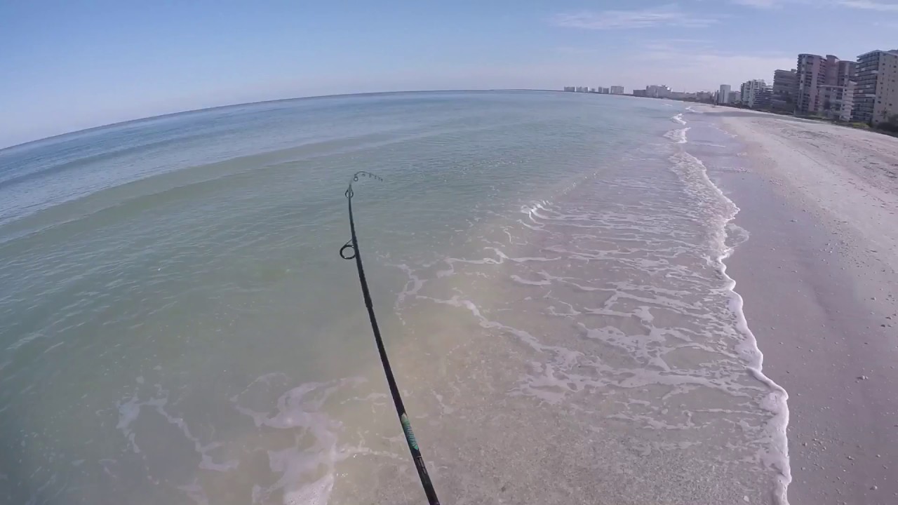 Snook strike re-edit