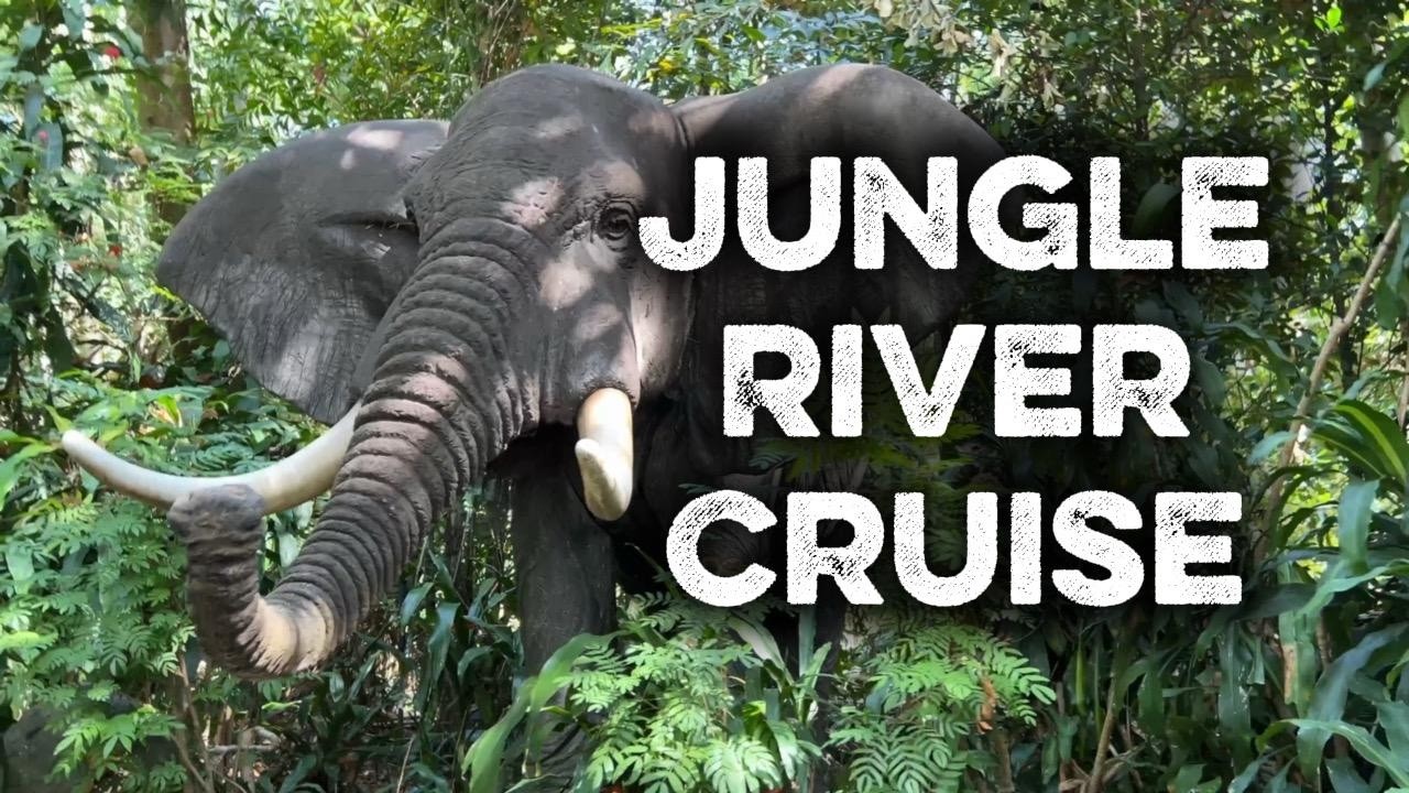 Jungle River Cruise at Hong Kong Disneyland 2026 | Sunny Day POV Adventure 🌿🚤