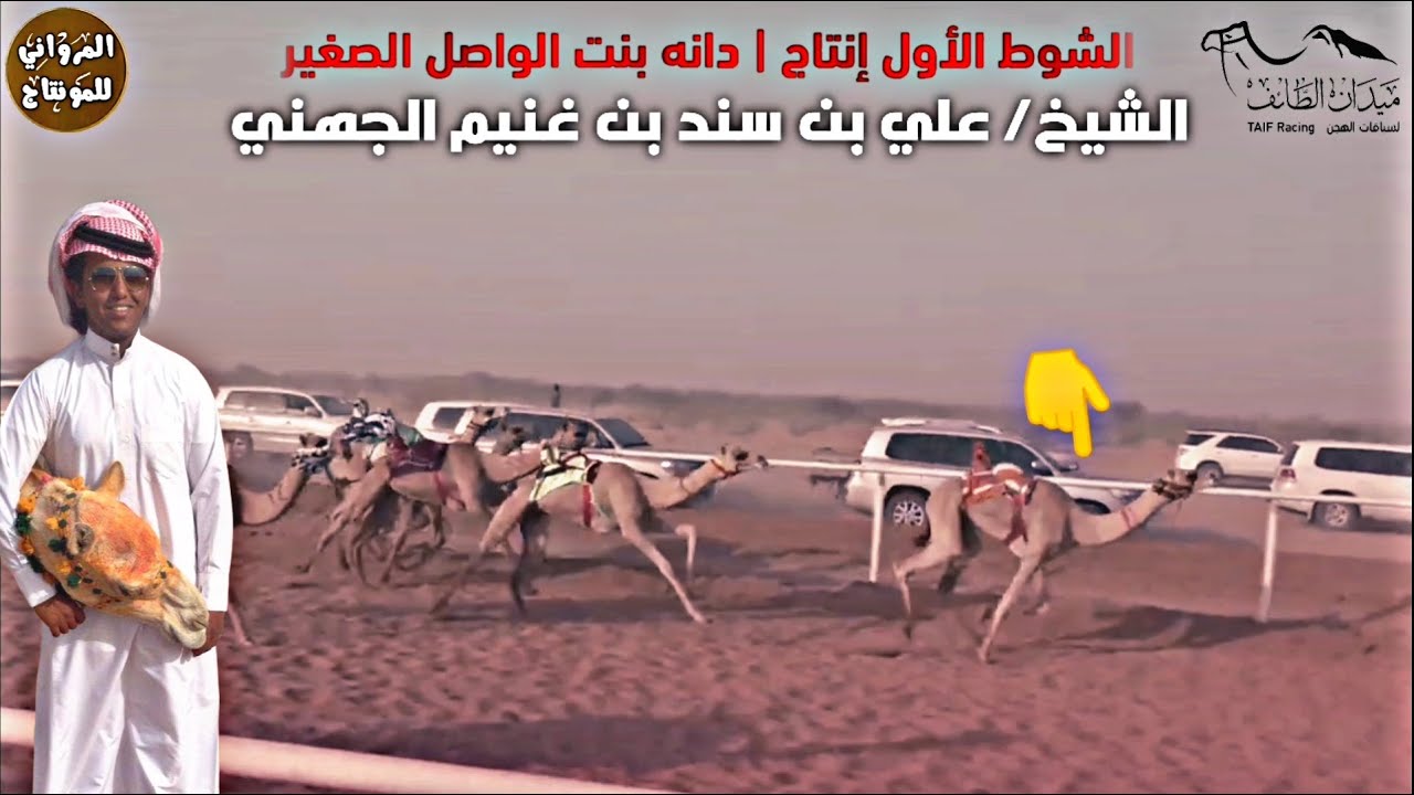 ش1 إنتاج الهجن🔥 في ميدان الطائف | الشيخ علي بن سند الجهني 2021
